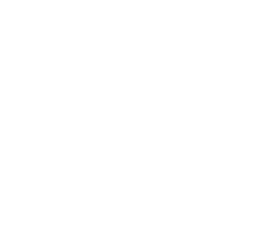 IELTS 4.5 icon