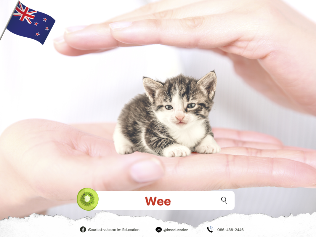 คำศัพท์สแลง Wee